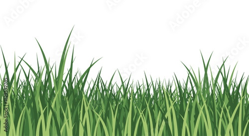 Lush, fresh green grass blades create a vibrant natural border against a bright white background, ideal for spring and nature themes.
