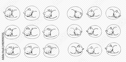 Multiple black and white line art illustrations of cute sleeping cats curled up in a ball.