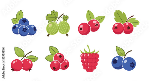 An illustrated collection of fresh and healthy berries including blueberries, cranberries, gooseberries, and raspberries with green leaves.