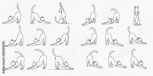 Collection of line art illustrations depicting cats stretching in various playful and natural poses, showcasing feline flexibility.