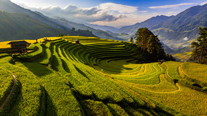 Handdoek met foto Rijstvelden Rijstterrassen Mu Cang Chai Vietnam  © dodovietnam