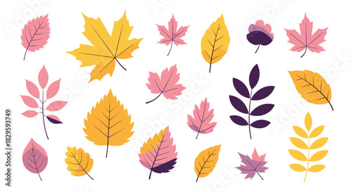 A vibrant collection of stylized autumn leaves in various shapes and colors, including pink, yellow, and purple, perfect for fall designs.