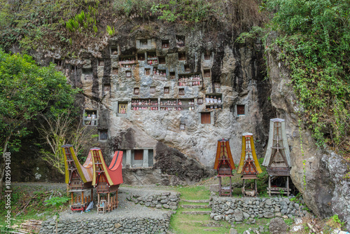 Traditionelle Toraja Felsgräber mit Tau Tau Galerie in einer Steilwand bei Lemo 