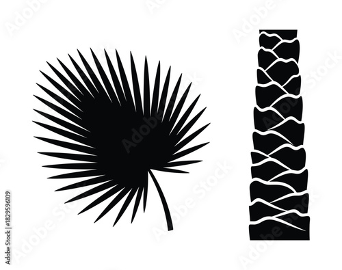 Palm leaf and tree bark texture vector illustration set on white background