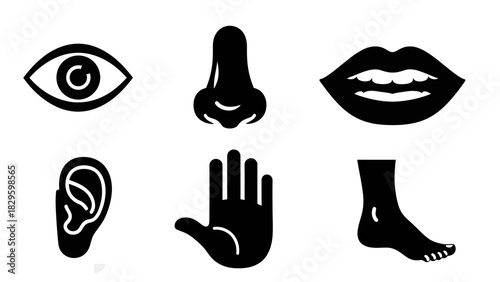 Illustration of human senses: sight, smell, taste, hearing, touch, and balance.