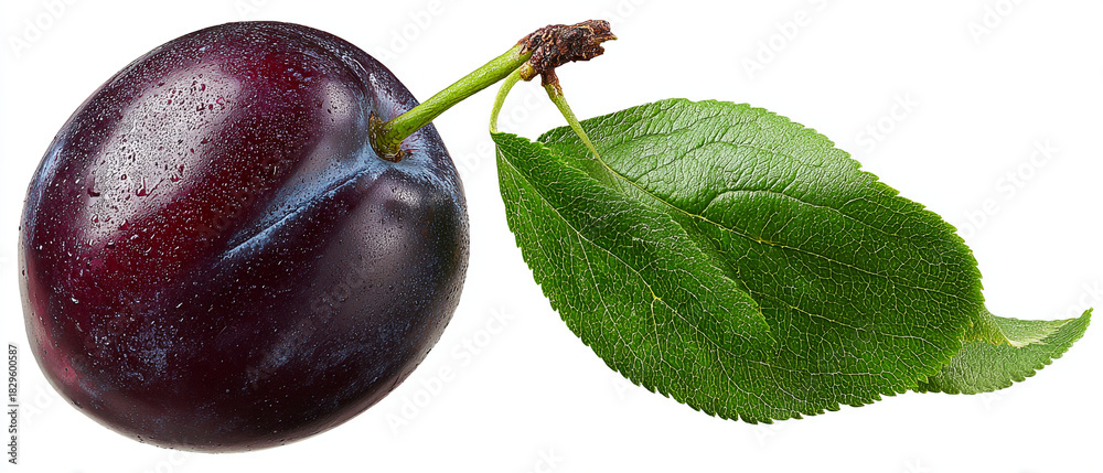 © Jhati - Close up of a dark plum with water droplets and a green leaf on a white background © Jhati - Close up of a dark plum with water droplets and a green leaf on a white background