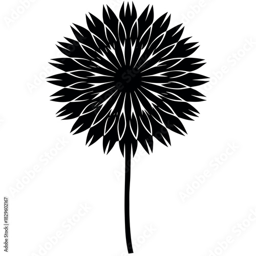 Allium-flower--simple-realistic-silhouette-vector. 