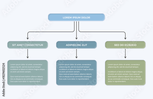 Hierarchical flowchart infographic showing one main element branching into three categories with text boxes