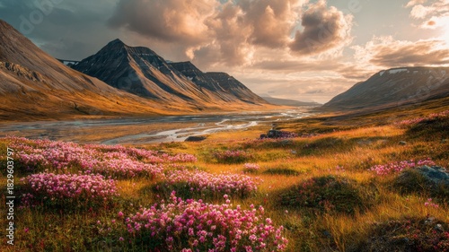Stunning arctic summer landscape in longyearbyen, spitsbergen, svalbard featuring colorful wildflowers and majestic mountains under a golden polar sunset