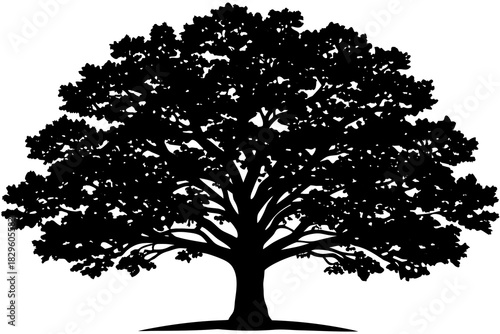 Black silhouette of a large oak tree with dense foliage on a white background vector