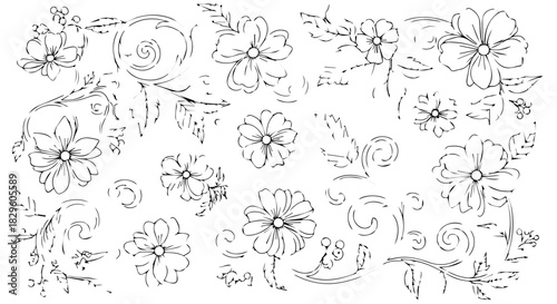 Delicate hand drawn floral pattern with petals and leaves in decorative lineart.
