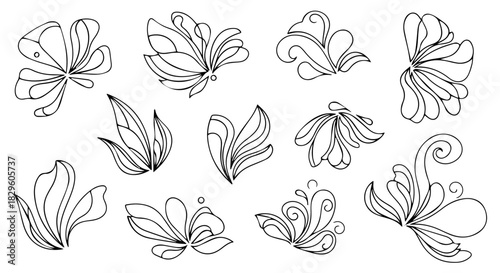 Delicate black and white botanical leaf and flower line drawings showing diverse shapes and patterns.