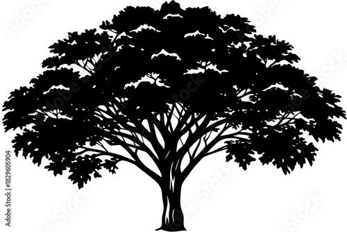 Black silhouette of a large leafy tree with a thick trunk and spreading branches on a white background