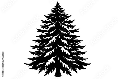 Black silhouette of a pine tree with snow covered branches white