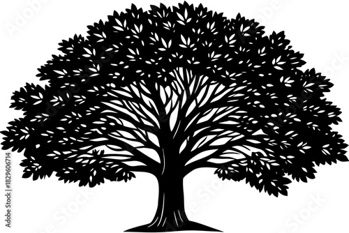 Black silhouette of a large deciduous tree with a full crown and detailed branches on a white background