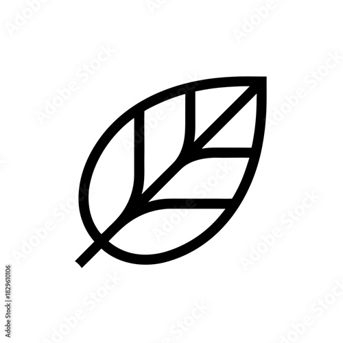 Illustration of a single leaf with veins shown on transparent background silhouette