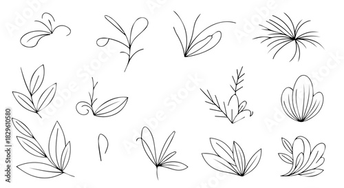 Delicate botanical sketches of various leaves and sprouts and stems.
