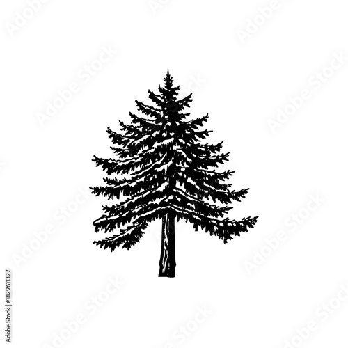 tree vector, icon, tree
