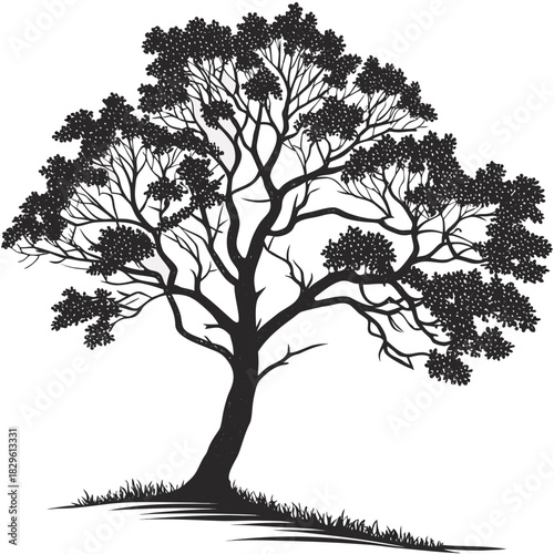 A striking silhouette of a mature tree with a sprawling canopy of dense foliage and intricate branches set against a clean white background with a hint of grassy ground