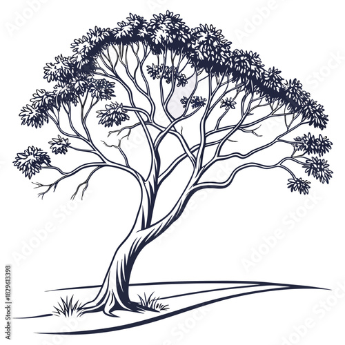 A stylized elegant and artistic black and white outline illustration of a mature deciduous tree with a sprawling canopy and intricate branches standing in a grassy field