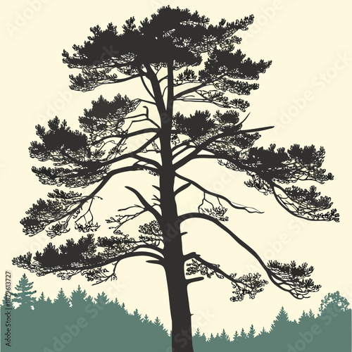 Silhouette of a tall mature pine tree with sprawling branches and needles against a pale yellow background with a distant forest line