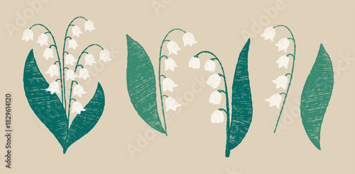 Spring White lily of the Valley Flower. May floral Set. Isolated Forest Plant. Crayon Textured Hand-drawn. Vector illustration. Not AI