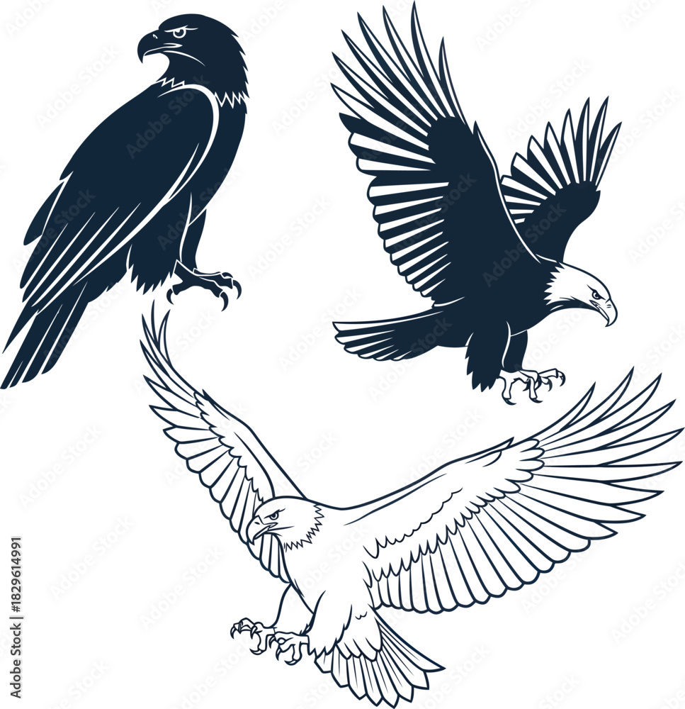 Obraz premium Eagle vector illustration set various poses bald eagle silhouette design eps