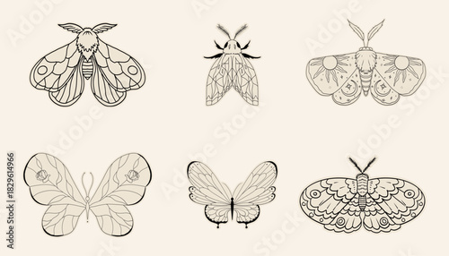 Celestial moth set, butterfly line magic mystical tattoo. Universe wing moth. Celestial occult moon sketch. Line animal drawing design. Esoteric totem boho insect with space wings.