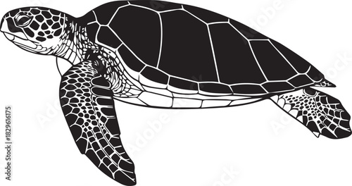 Elegant Black and White Sea Turtle Illustration for Conservation Awareness