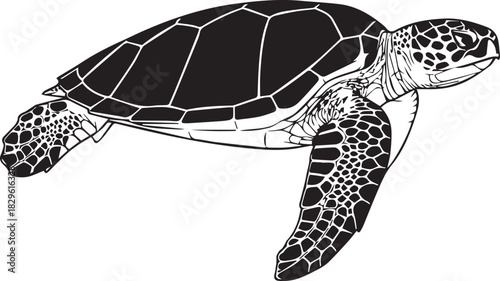 Monochrome graphic rendition of a sea turtle swimming gently underwater