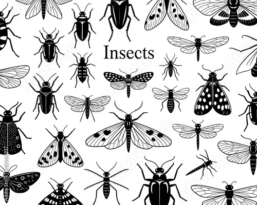 Collection of black and white insect illustrations on a white background