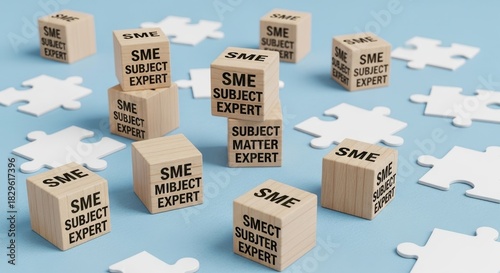 Strategic Expertise: SME Subject Matter Experts Building Blocks for Business Solutions