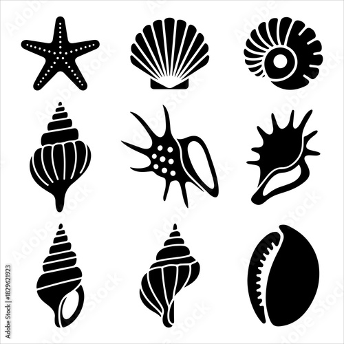  set of seashell silhouette vector illustration