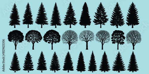 Tree silhouette collection, coniferous and deciduous trees, forest shapes, botanical elements, nature icons, landscape design, flat vector illustration