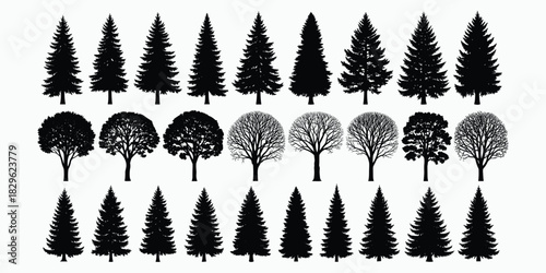 Tree silhouettes collection, coniferous and deciduous trees, forest elements, botanical shapes, seasonal foliage, nature icons, black vector trees, flat vector illustration