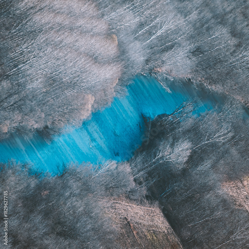 autumn forest with river in the morning