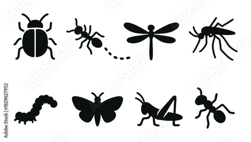 Silhouettes of insects: beetle, ant, dragonfly, mosquito, caterpillar, butterfly, grasshopper in darkness