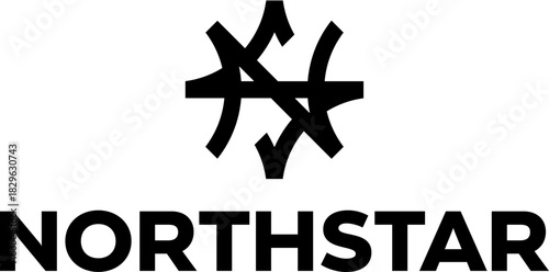 simple black NS northern star or north star navigation nautical vector icon logo design