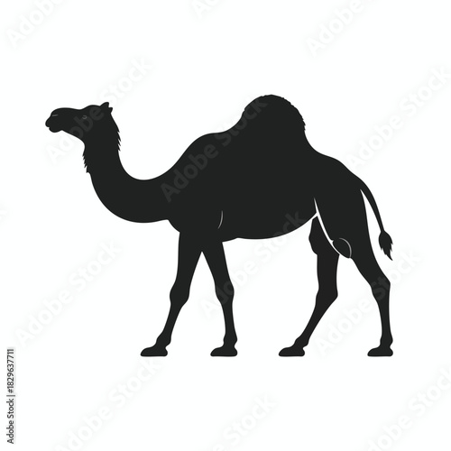 Silhouette of a camel standing on a white background, showcasing its distinctive humps and posture.