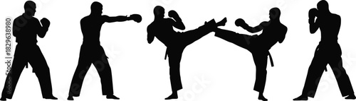 Vector silhouette set of male martial arts fighters performing various combat techniques, including different kicks and punches, representing karate, taekwondo, fighting sports,