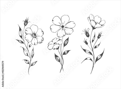 Hand-Drawn Summer Vacation Doodle Collection: Beach, Windsurfing, Sailing, Palm Trees, and Sun Icons for Tropical Holiday and Water Sport Graphics.