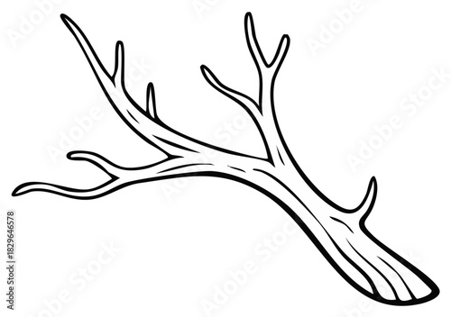 Stylized bare tree branch drawing outline isolated vector illustration element