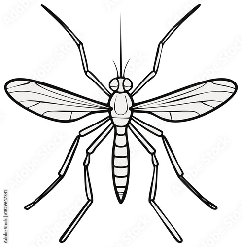 Black and white line art illustration of a mosquito from a top down view
