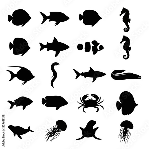 Collection of various black silhouettes of sea creatures including fish, shark, crab, seahorse, and jellyfish