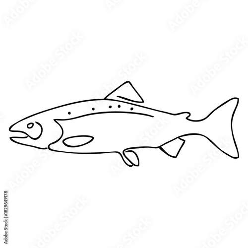 Dibujo de línea continua de salmón o trucha 
