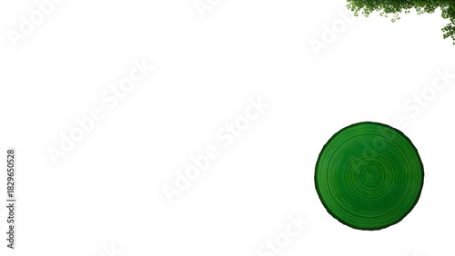A green circle hinting at a tree base, placed in a corner, ultra empty background.