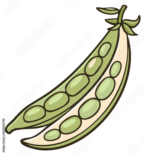 Cartoon Illustration of Two Green Pea Pods Opened With Visible Peas Vegetables