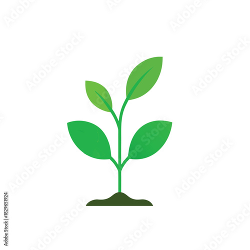 Plant sprout with leaves icon