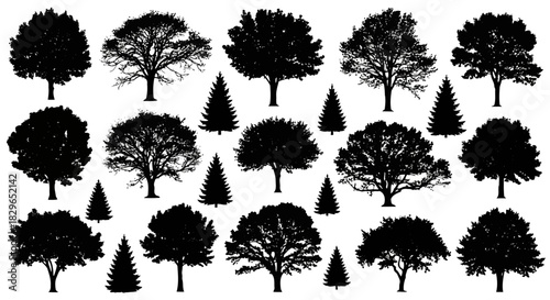 Collection of various trees and coniferous silhouettes in black and white