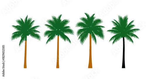 Four palm trees with green leaves and brown trunks standing in a row on a